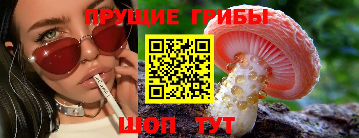 Псилоцибиновые грибы Psilocybine cubensis Партизанск