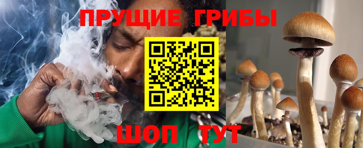 Псилоцибиновые грибы мицелий  Вход с VPN  где можно купить   Партизанск 